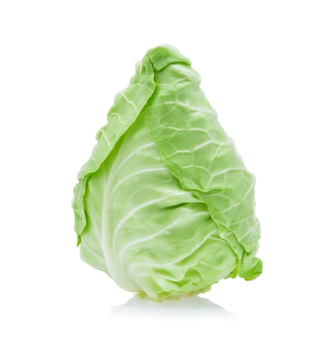 shutterstock_585381344_web