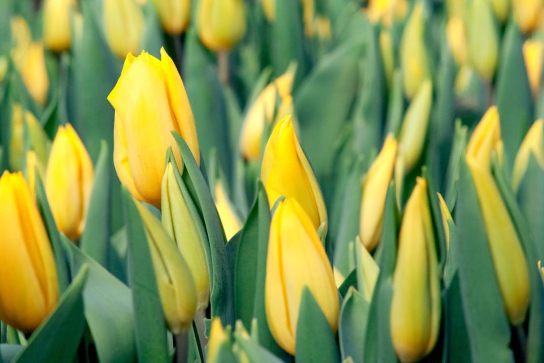 shutterstock_1968563227_web